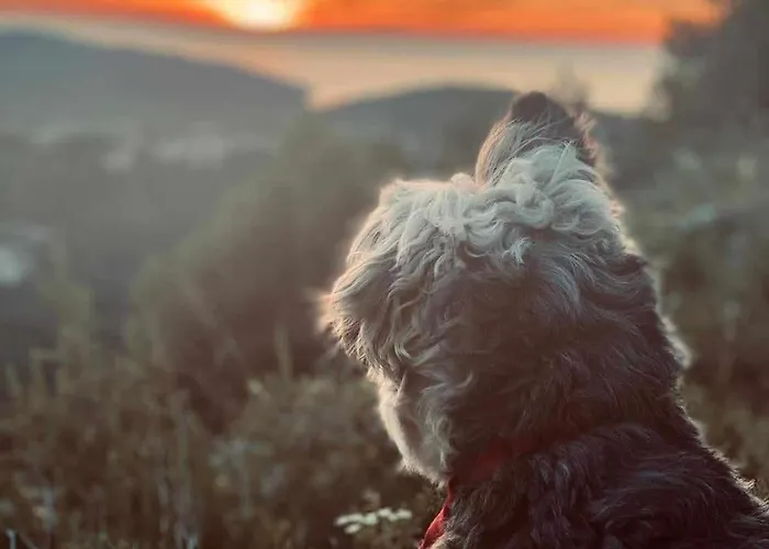 Kiro アパート ミルナ